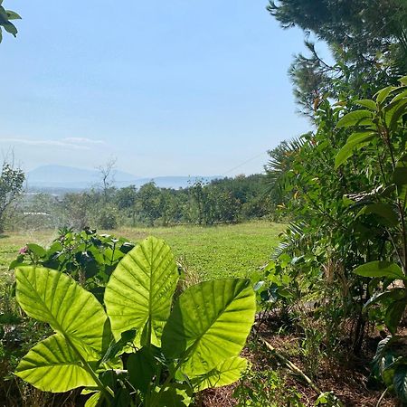 Hotel Nature Kolonje Εξωτερικό φωτογραφία