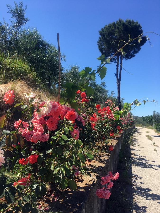 Hotel Nature Kolonje Εξωτερικό φωτογραφία