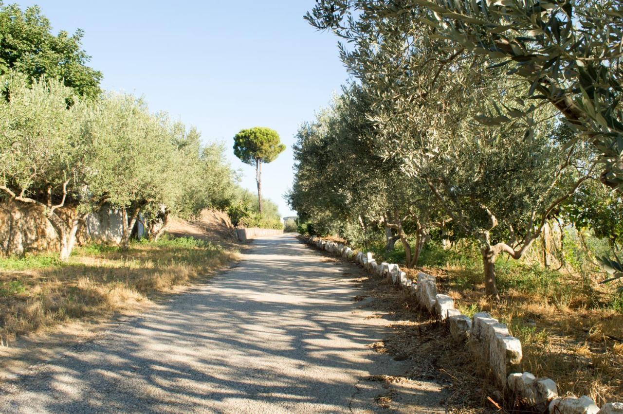 Hotel Nature Kolonje Εξωτερικό φωτογραφία