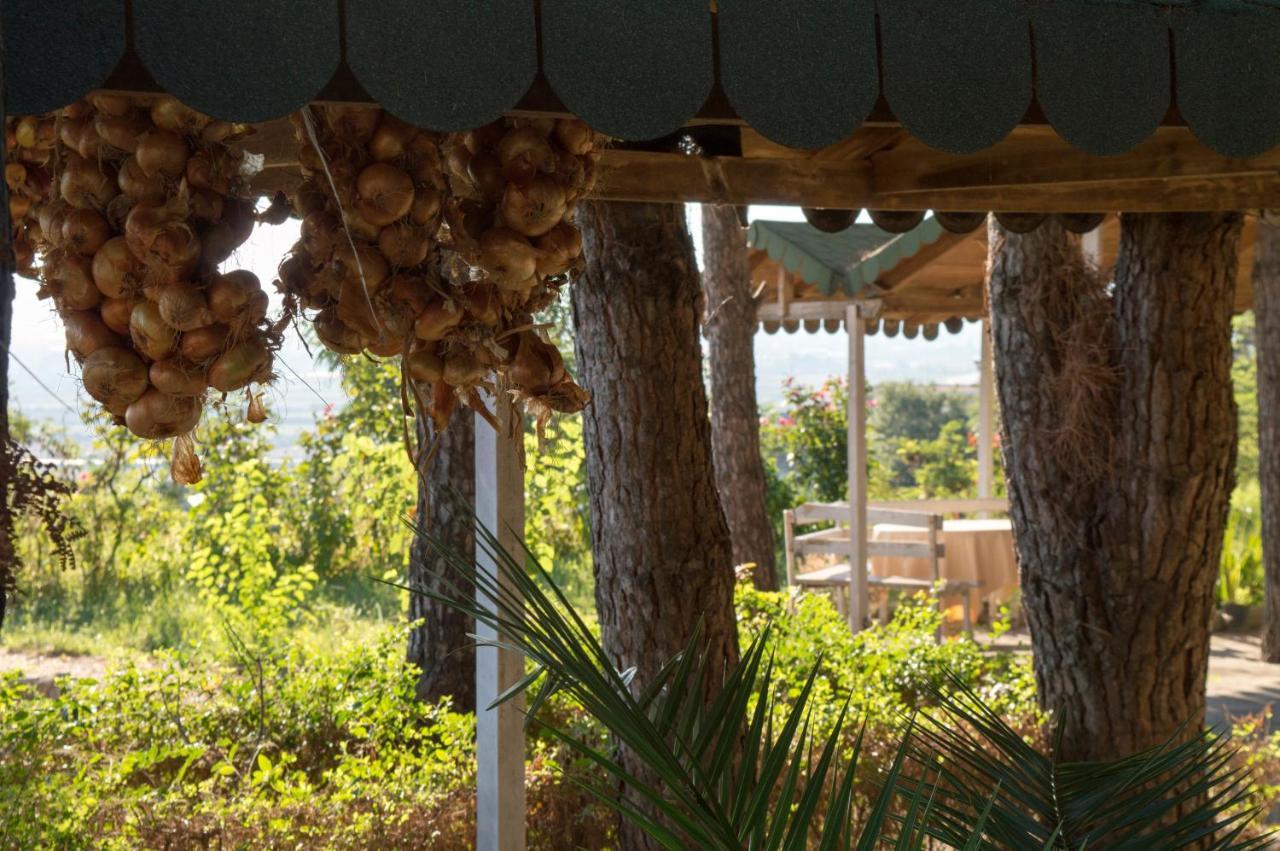 Hotel Nature Kolonje Εξωτερικό φωτογραφία