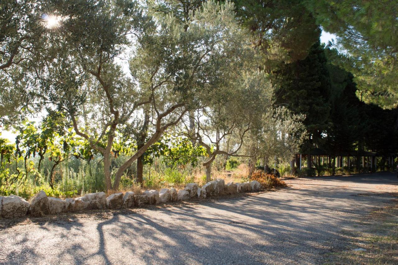 Hotel Nature Kolonje Εξωτερικό φωτογραφία