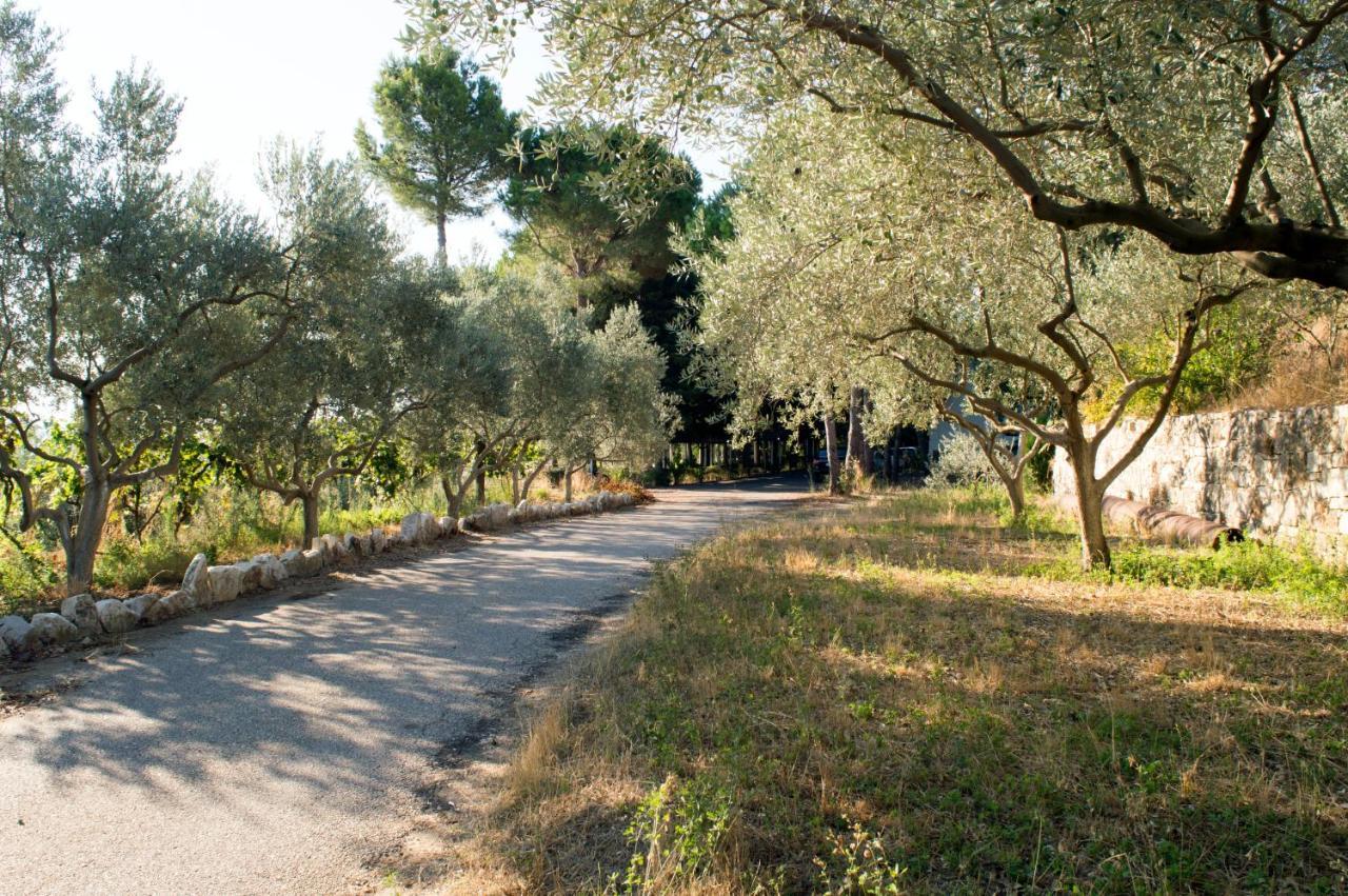 Hotel Nature Kolonje Εξωτερικό φωτογραφία