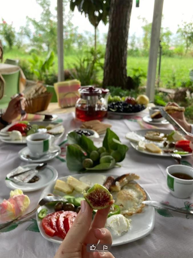 Hotel Nature Kolonje Εξωτερικό φωτογραφία