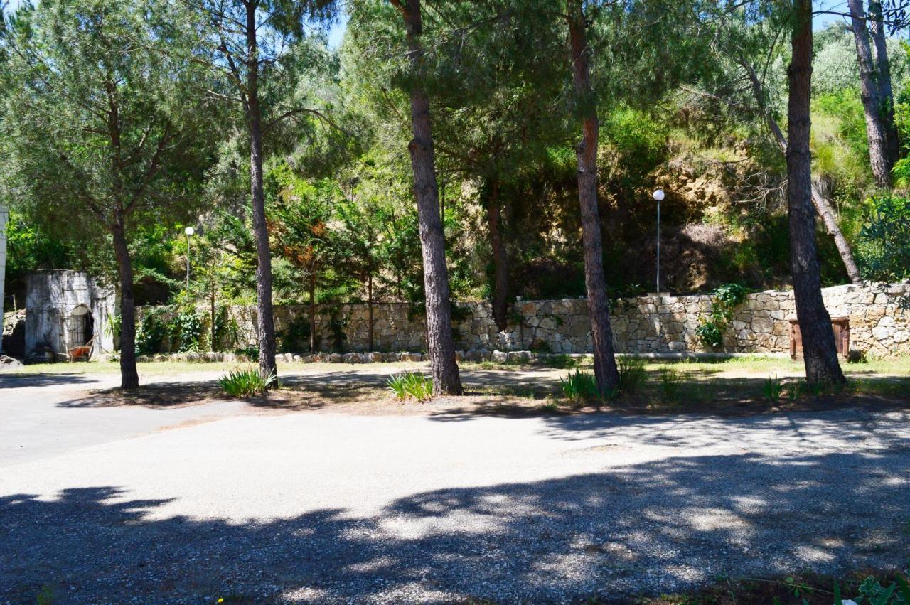 Hotel Nature Kolonje Εξωτερικό φωτογραφία