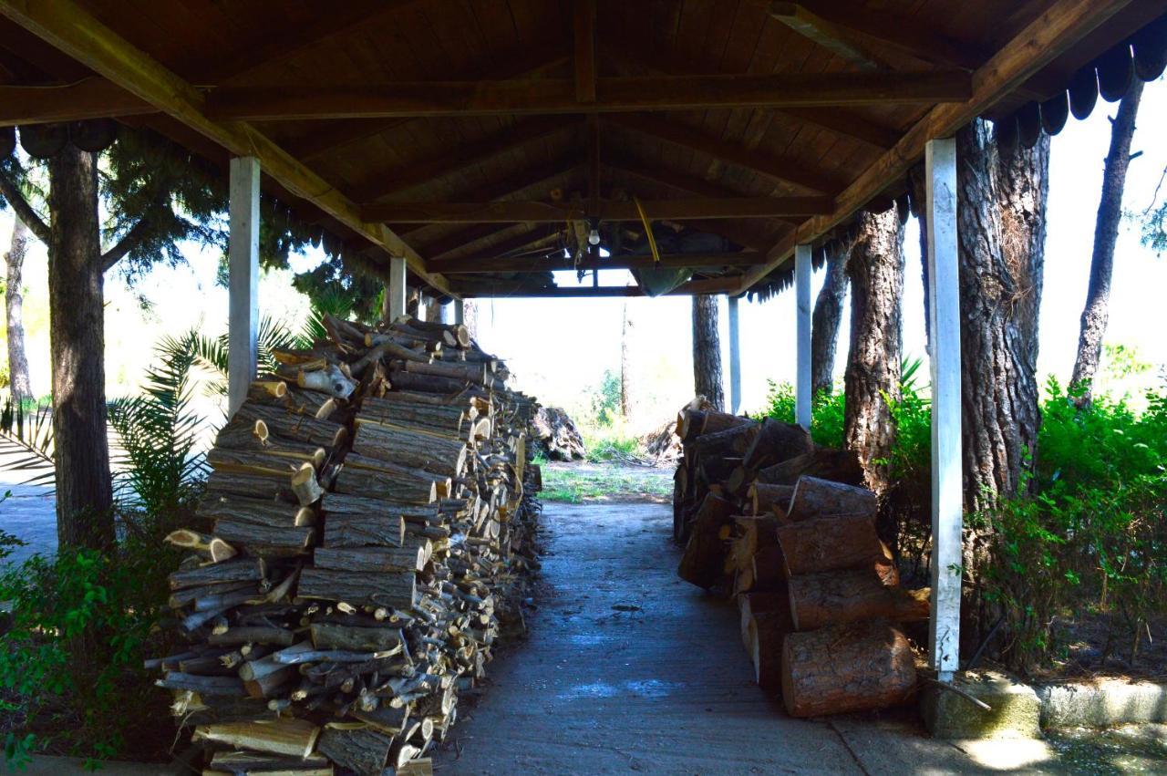 Hotel Nature Kolonje Εξωτερικό φωτογραφία
