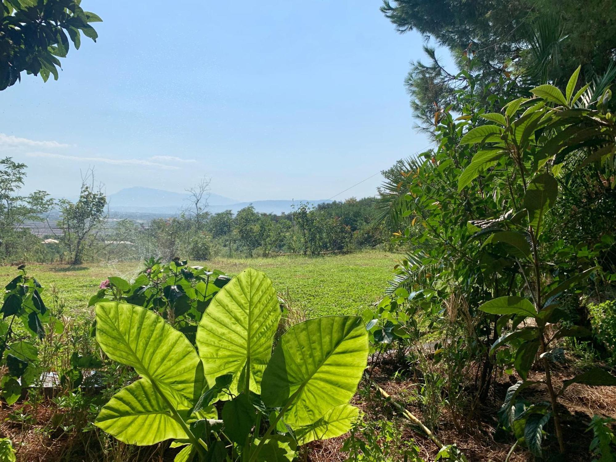 Hotel Nature Kolonje Εξωτερικό φωτογραφία