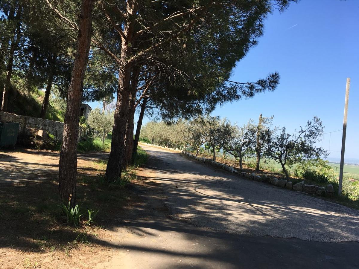 Hotel Nature Kolonje Εξωτερικό φωτογραφία
