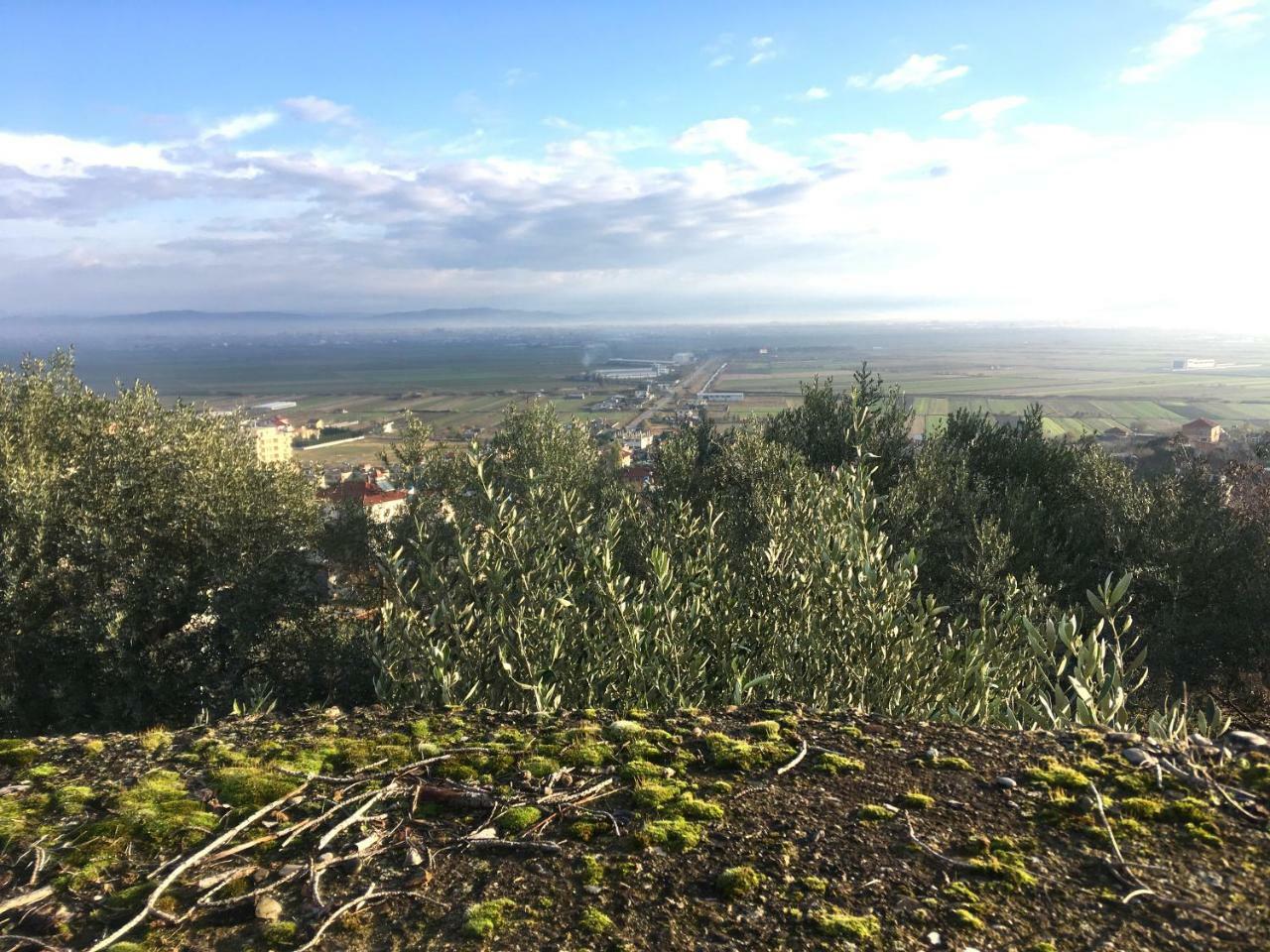 Hotel Nature Kolonje Εξωτερικό φωτογραφία